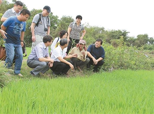 广西对东盟农业合作交流不断扩大