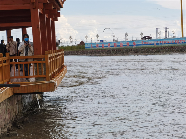 【青海这十年】青海湖的明珠——刚察县沙柳河景区湟鱼家园