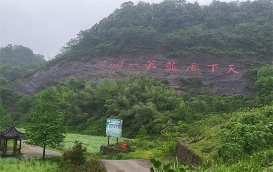 从一片“叶”到一条“链”  湖南沅陵茶旅融合拓宽村民致富路  