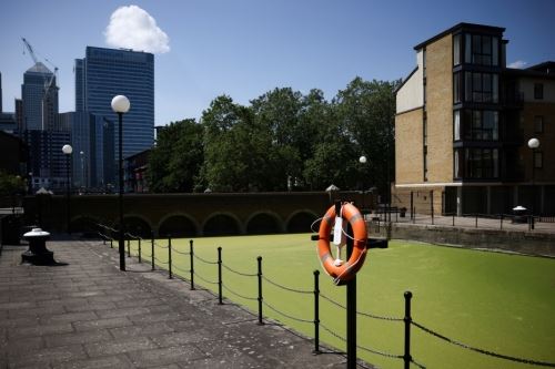 英慈善机构报告称去年约七分之一英国人面临饥饿困扰