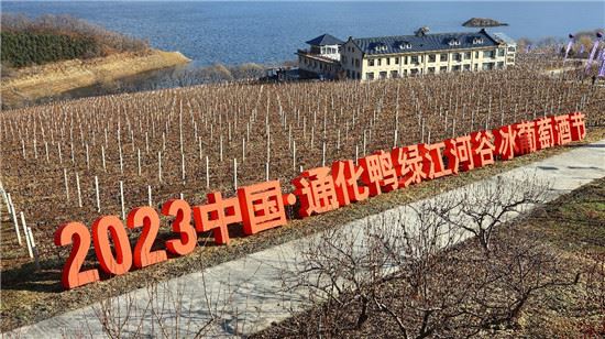 雪域冰酒 吉林通化的专属味道