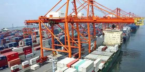 两国暴发禽流感 菲律宾农业部下达禁止进口令