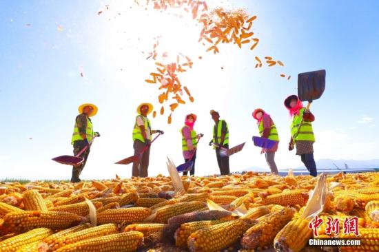 China issues guideline to raise annual food yield