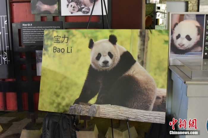 美国华盛顿国家动物园宣布年底将迎来两只大熊猫