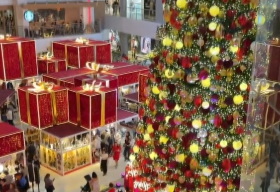 圣诞将至 马尼拉节日氛围渐浓