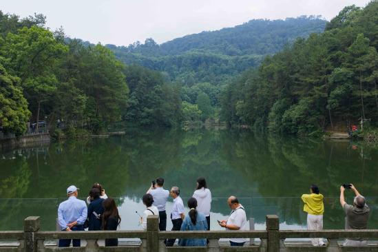 Daihu Lake: Ecological restoration revives a mountain jewel